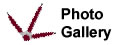 View the Photo Gallery.
