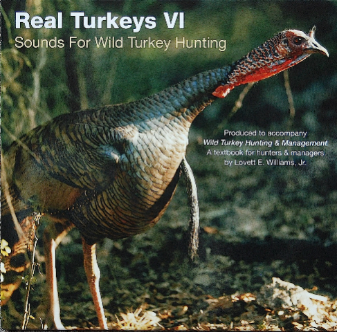 Recording Real Turkeys Vi